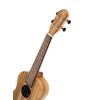 ORTEGA RFU11Z UKULELE CONCERT ZEBRA