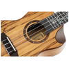 ORTEGA RUET-SMA "ELITE" UKULELE CONCERT ECPICÉA / ÉRABLE MASSIF