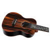 ORTEGA RUET-EB "ELITE" UKULELE CONCERT EBENE MASSIF