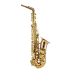 TREVOR JAMES SIGNATURE CUSTOM 37SC-A269B SAXOPHONE ALTO PHOS. BRONZE
