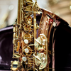 TREVOR JAMES SIGNATURE CUSTOM 37SC-A269B SAXOPHONE ALTO PHOS. BRONZE