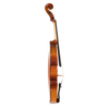 GEWA PURE EW VIOLON 4/4 AVEC GARNITURE