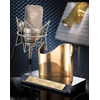 NEUMANN TLM 49  MICRO STUDIO CARDIOIDE AVEC SUSPENSION