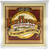 ERNIE BALL 2012 EARTHWOOD MEDIUM JEU 12 CORDES GUITARE FOLK