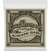 ERNIE BALL 2070 EARTHWOOD PHOSPHOR BRONZE JEU BASSE ACOUSTIQUE 45-95