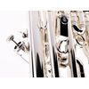 BESSON BE969T DAVID CHILDS SOVEREIGN EUPHONIUM PRO SIB ARGENTE + étui