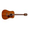 GUILD D-120 NAT "WESTERLY - THE 120's" GUITARE FOLK ELECTRO