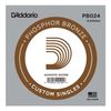 D'ADDARIO PB024 PHOSPHORE BRONZE