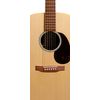 CF MARTIN D-X2E-ROSEWOOD GUITARE FOLK ELECTRO - Épicéa & Bois de rose