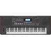 ROLAND E-X50 CLAVIER ARRANGEUR 61 Touches