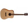 CORT EGRAND GCED "EARTH GRAND" GUITARE FOLK GAUCHER NATURELLE