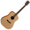CORT EGRAND GCED "EARTH GRAND" GUITARE FOLK GAUCHER NATURELLE