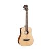 CORT EARTHGO-BOP "EARTH GO" GUITARE FOLK DE VOYAGE HYVIBE2 NATUREL