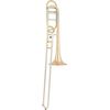 EASTMAN ETB426G TROMBONE VERNI PERCE L CUIVRE ROSE avec étui & emb.