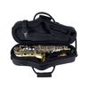 PROTEC MX304CT ETUI "MAX" POUR SAXOPHONE ALTO NOIR