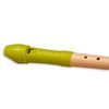 MOLLENHAUER 17411 FIPPLE FLUTE SOPRANO ERABLE/TETE SYNTHETIQUE VERTE