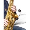 PRODIPE SB21 LANEN MICRO SAXOPHONES ET CUIVRES