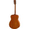 YAMAHA FS800 T GUITARE FOLK NATURELLE TINTED