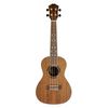 ALABAMA FZU-052CWD UKULELE DE CONCERT HICKORY MASSIF