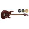 CORT G300PROVVB GUITARE ELECTRIQUE BOURGOGNE VIF