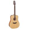 TAKAMINE GN20-NS GUITARE FOLK ACOUSTIQUE NEX NATURELLE SATINEE