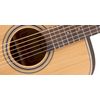 TAKAMINE GD20-NS GUITARE FOLK DREADNOUGHT NATURELLE SATINEE