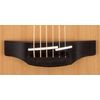TAKAMINE GD20-NS GUITARE FOLK DREADNOUGHT NATURELLE SATINEE