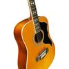 EKO RANGERVR12EQ-NAT GUITARE FOLK ELECTRO 12 CORDES VINTAGE NATURELLE