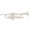 BACH STRADIVARIUS 180SML 43G TROMPETTE SIB ARGENTEE avec étui