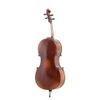 GEWA ALLEGRO-VC1 VIOLONCELLE 4/4 AVEC GARNITURE & CORDES CROWN