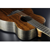 LAG TRAVEL-PBS "TRAMONTANE" GUITARE FOLK DE VOYAGE PALE BRANKOWOOD