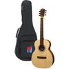 LAG VIAN-001 TRAVEL SIGNATURE VIANNEY GUITARE FOLK DE VOYAGE ELECTRO