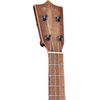 CF MARTIN T1-STREET "STREETMASTER" UKULELE TENOR EN ACAJOU