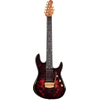 MUSIC MAN CUTJRP7-RORD-RME-0-G "JASON RICHARDSON" ELECTRIQUE 7 CORDES