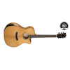 CORT GOLD-EDGE-NAT "GOLD EDGE" GUITARE FOLK NATURELLE + étui