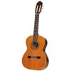 ESTEVE 3Z GUITARE CLASSIQUE - Fond & éclisses Ziricote / Table cèdre