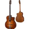 EASTMAN DM-1/C "GYSPSY JAZZ" GUITARE MANOUCHE "PETITE BOUCHE" VINTAGE