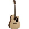 WASHBURN AD5CE GUITARE FOLK ELECTRO NATURELLE
