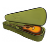 GATOR G-ICONDREAD-GRN "ICON" ETUI GUITARE FOLK DREADNOUGHT VERT KAKI