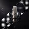 RODE NT1 GEN5 SV MICRO STUDIO SILVER AVEC SUSPENSION & ACCESSOIRES