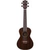 PRODIPE GUITARS BC220 UKULELE DE CONCERT 23" - BOIS DE ROSE