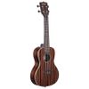 KALA KA-EBY-C "STRIPPED EBONY" UKULELE CONCERT EBENE