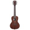 KALA KA-EBY-C "STRIPPED EBONY" UKULELE CONCERT EBENE