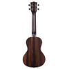 KALA KA-EBY-C "STRIPPED EBONY" UKULELE CONCERT EBENE