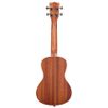 KALA KA-C UKULELE CONCERT ACAJOU SATINÉ