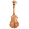 KALA KA-CEM UKULELE CONCERT ACAJOU EXOTIQUE SATINÉ