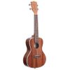 KALA KA-CG UKULELE CONCERT ACAJOU BRILLANT