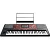 KORG PA700 CLAVIER ARRANGEUR NOIR - 61 TOUCHES