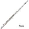 TREVOR JAMES VIRTUOSO FLUTE TRAVERSIERE TETE & TUBE ARGENT avec étui