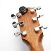 D'ADDARIO PW-CT-12 "MICRO HEADSTOCK TUNER" ACCORDEUR A PINCE